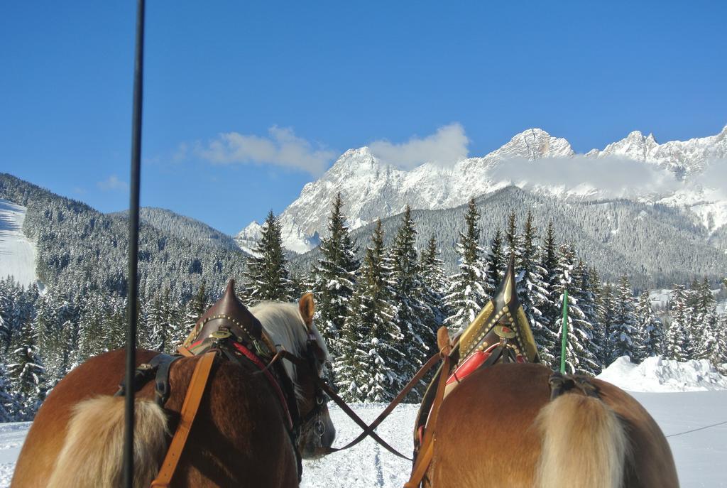 Pension Bergpracht Ramsau am Dachstein Exterior photo